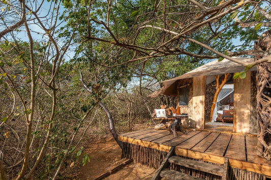 Leopard Safari Yala Luxury Tented Stay