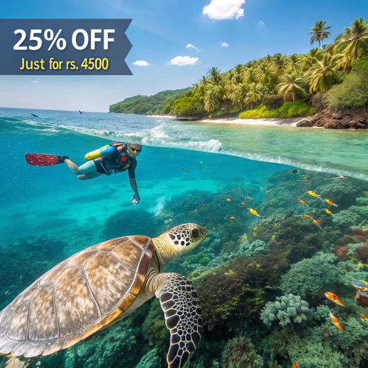 Swim with Sea Turtles – A Mirissa Snorkeling Experience by Maduzz Tours