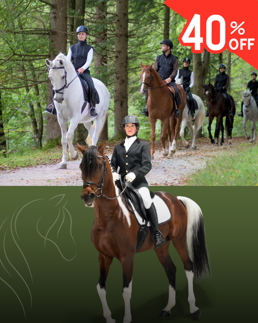 30-Minute Horse Riding Lesson at Premadasa Riding School – Nugegoda