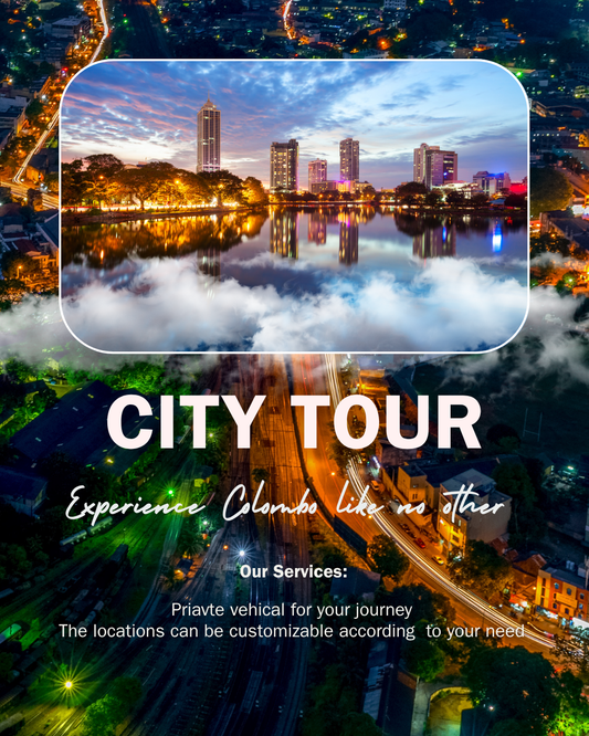 Colombo City tour for  (Day out)