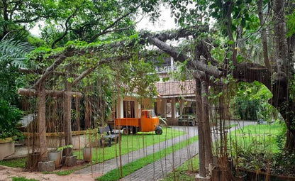 Escape to Serenity at Ceylon Kingsmen Garden - Negambo