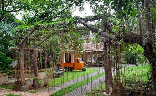 Escape to Serenity at Ceylon Kingsmen Garden - Negambo