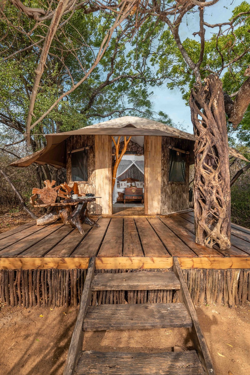 Leopard Safari Yala Luxury Tented Stay