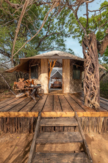 Leopard Safari Yala Luxury Tented Stay
