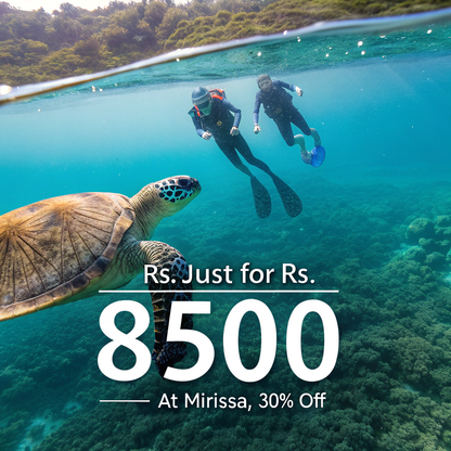 Swim with Sea Turtles – A Mirissa Snorkeling Experience by Maduzz Tours
